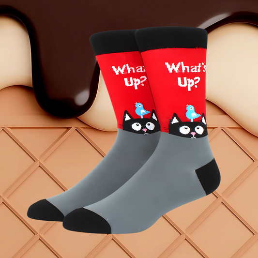 What’s Up?