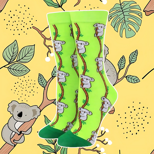 Kozy Koala