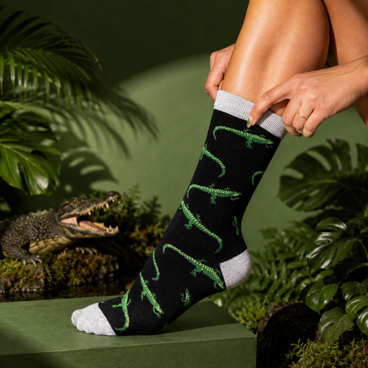 Crocodile