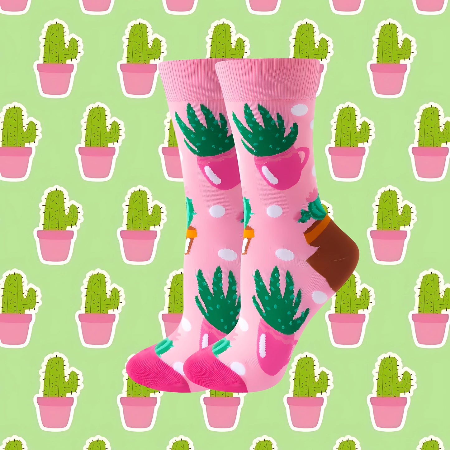 Cactus 🌵🏜️